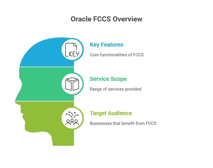 Overview of Oracle FCS, showcasing its features and functionalities in a professional context.